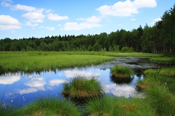 Šumava opuštěná a skrytá